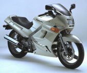 2002 Kawasaki ZZ-R 250 photo